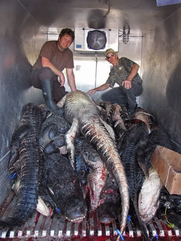 Scotty-gator-pics-054.jpg