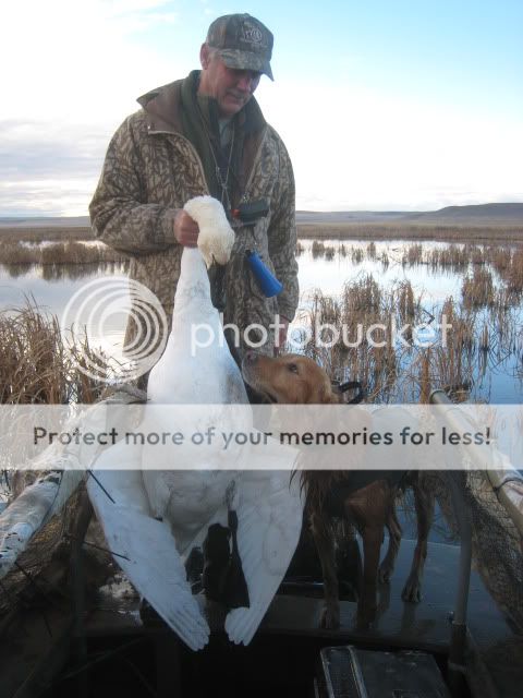 DuckHuntFreezeoutLake11-15-2010042.jpg