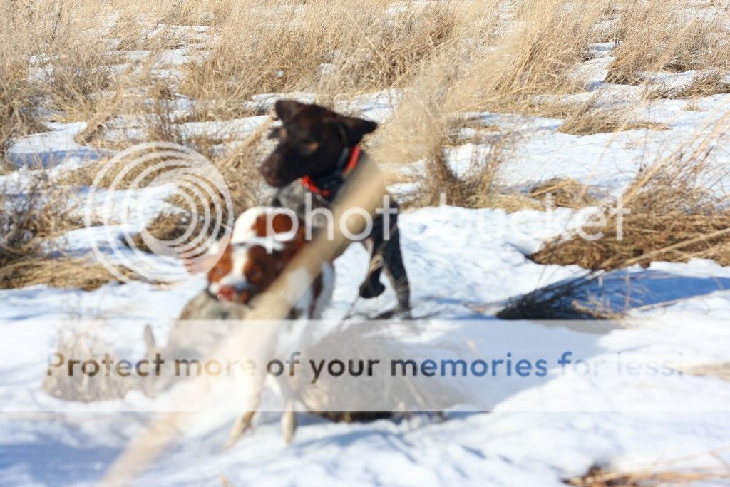 12615k_zpsfvy85qbv.jpg