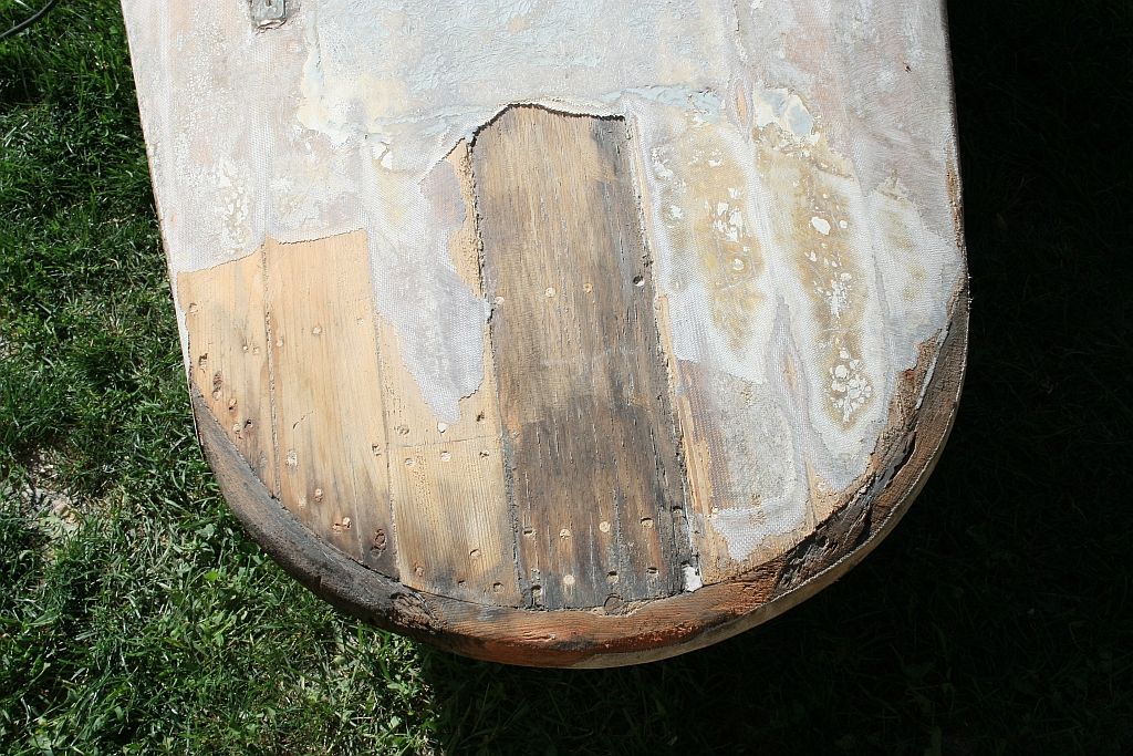 WS-Grinding2-fantailunderside_zps80e8001e.jpg