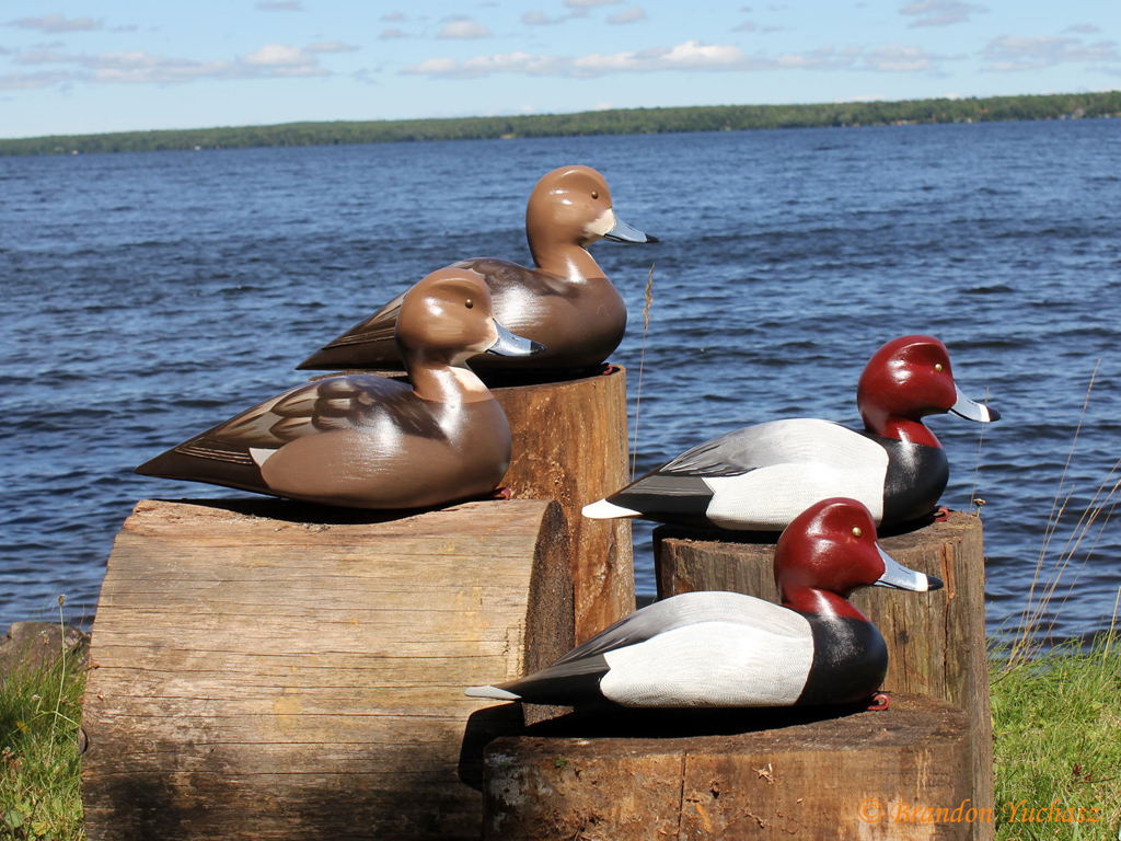 2014-09-01-Decoys-097.jpg