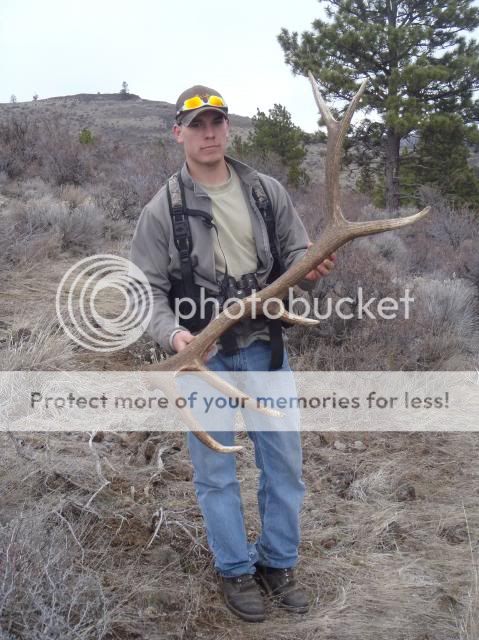P3160264_zpsccb8eea4.jpg