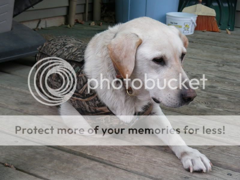 IMGP0525.jpg