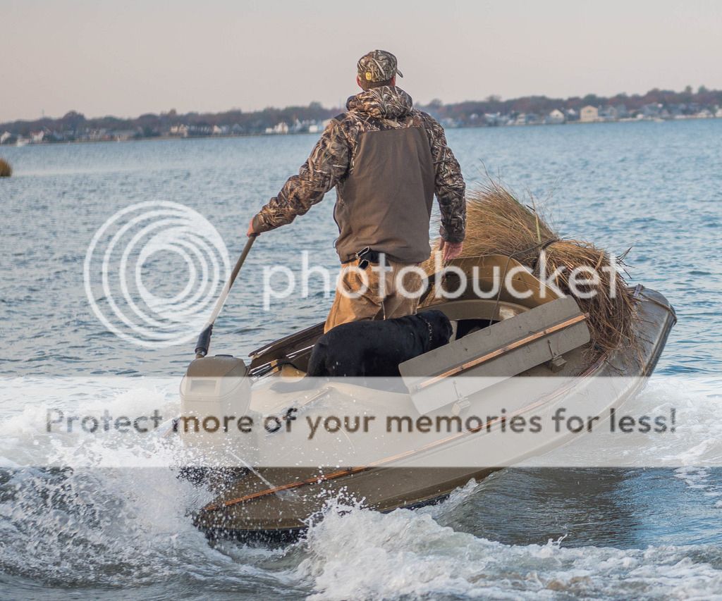 IslandOutdoorsMediaTM-44_zpsdm45wr8r.jpg
