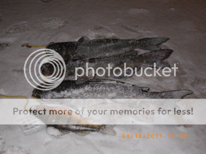 IMGP0599.jpg