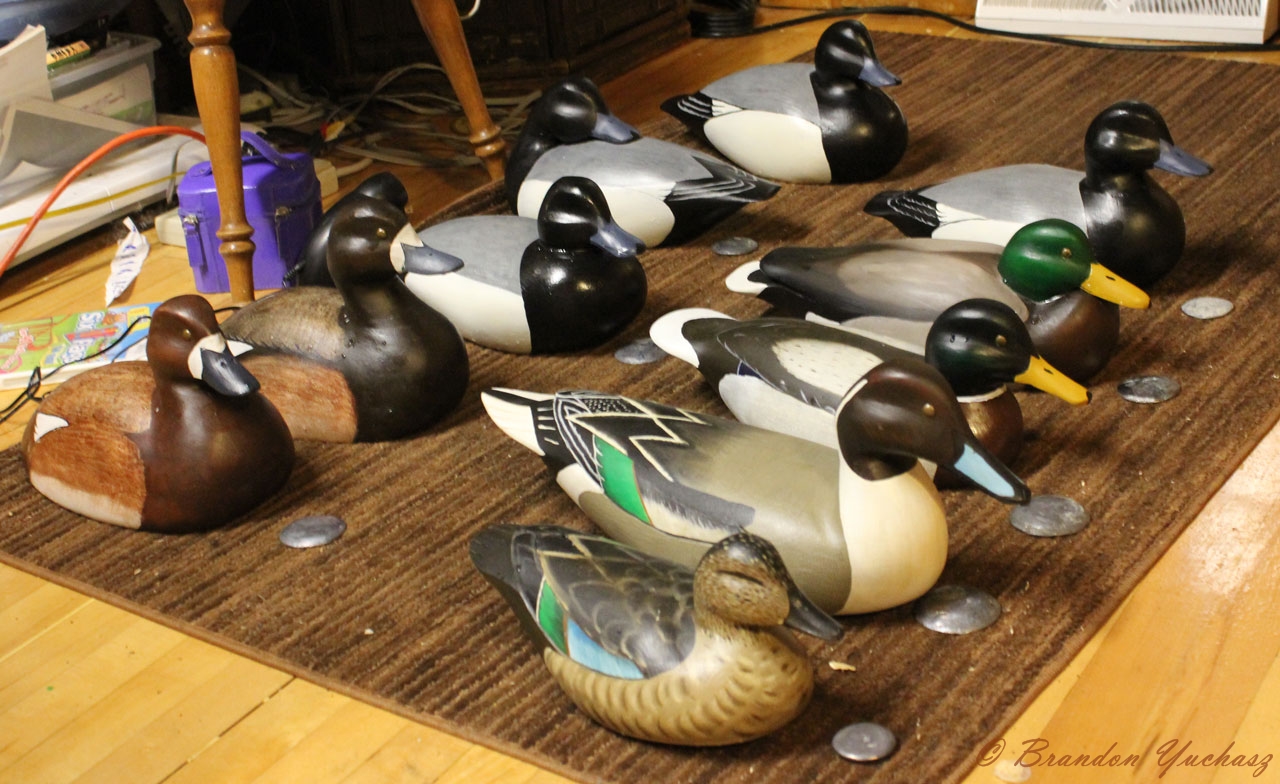 2011-09-06-Decoys-01.jpg