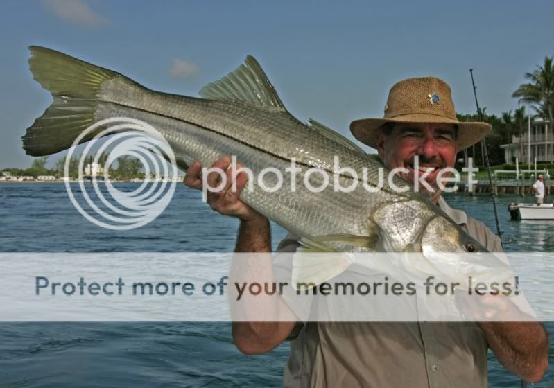 BIGSNOOK-3-resize.jpg