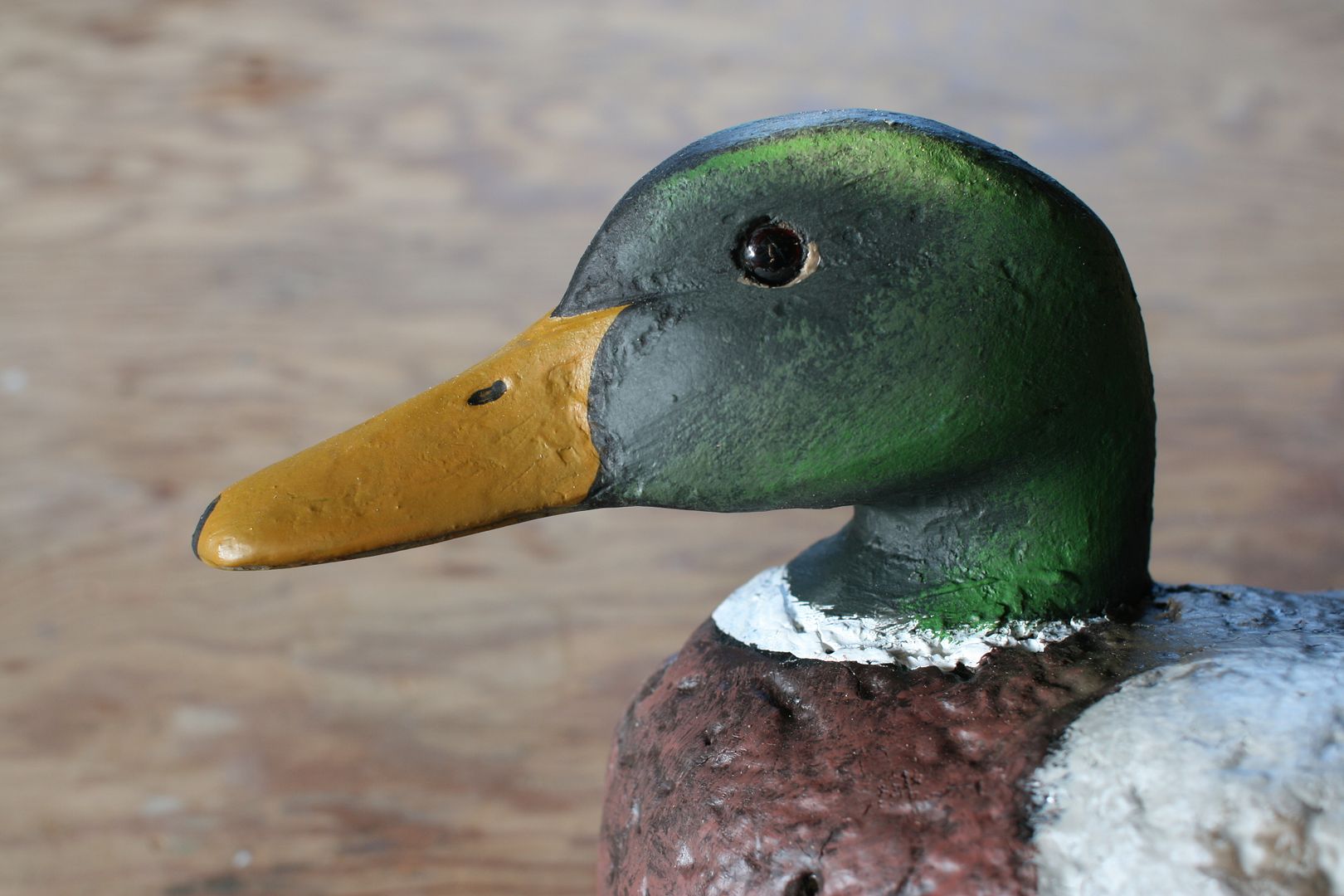 LO%20Mallard%20Drake%20face_zpsudbxdxdu.jpg