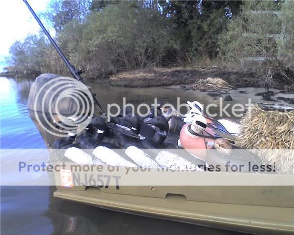 decoys-1.jpg