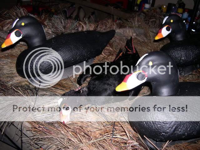 DSCN1948.jpg