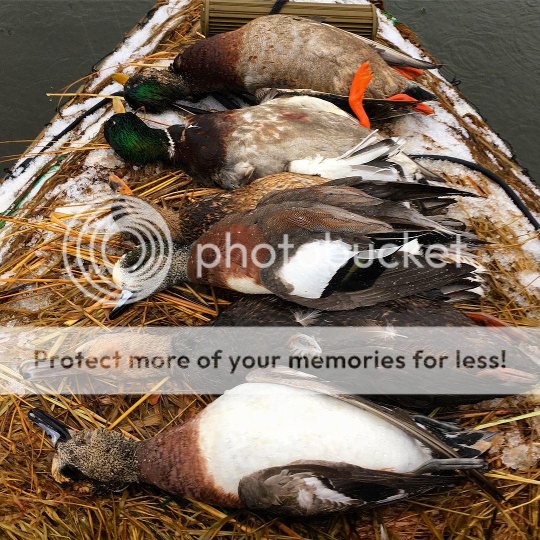 D8BB8622-5285-404F-A7F1-1FEB3DD39944.jpg