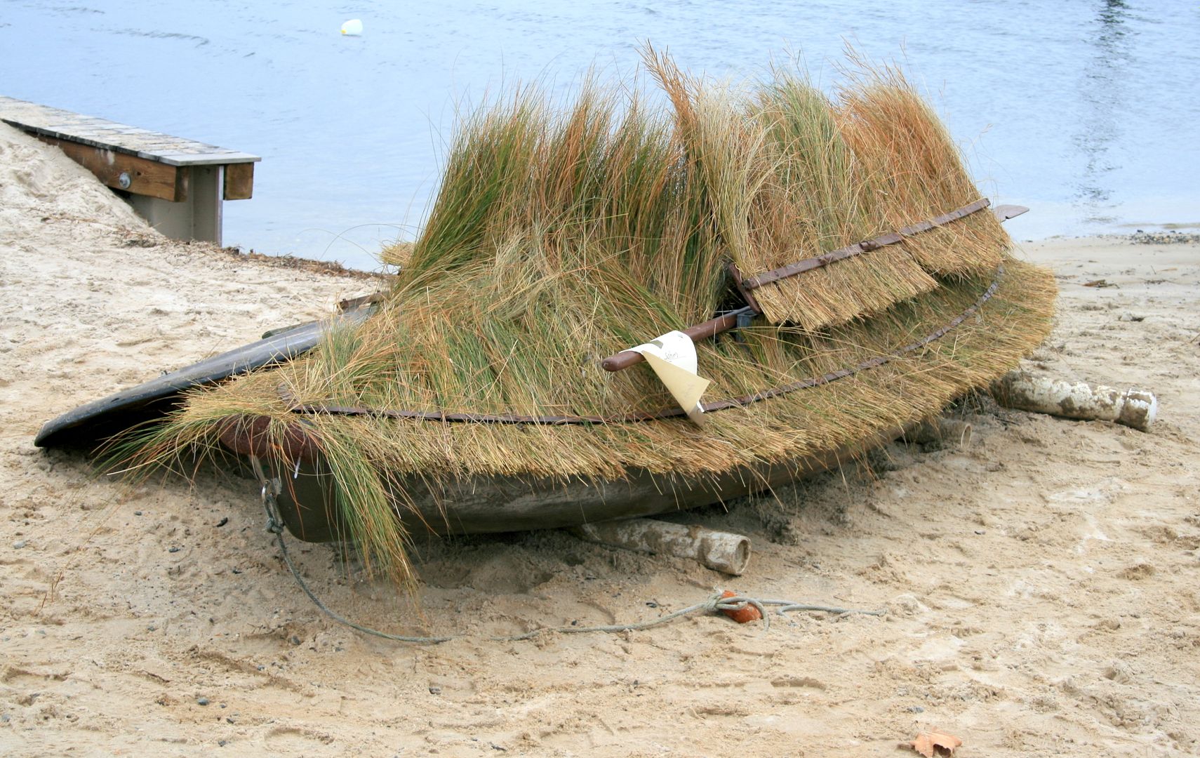 Grassboat%203_zpsje7ca55m.jpg