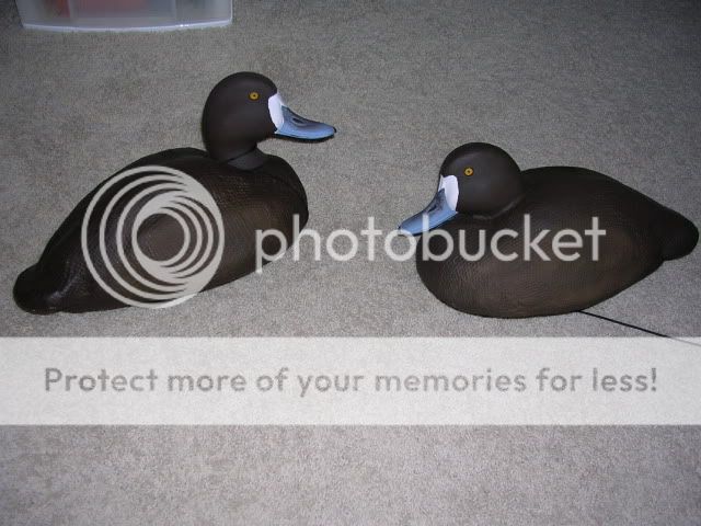 DSCN2578.jpg
