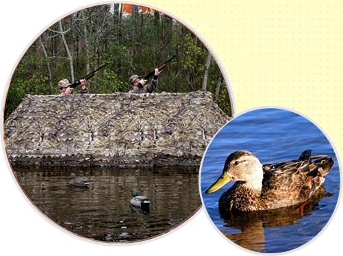 flywayspecialties.com
