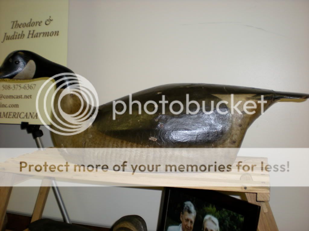 DSCN0536.jpg