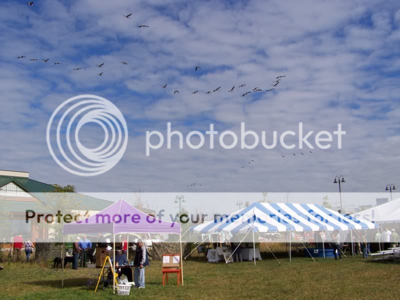 CtDUfest006.jpg
