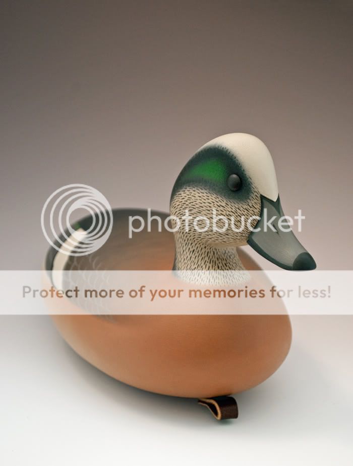 Widgeon6.jpg