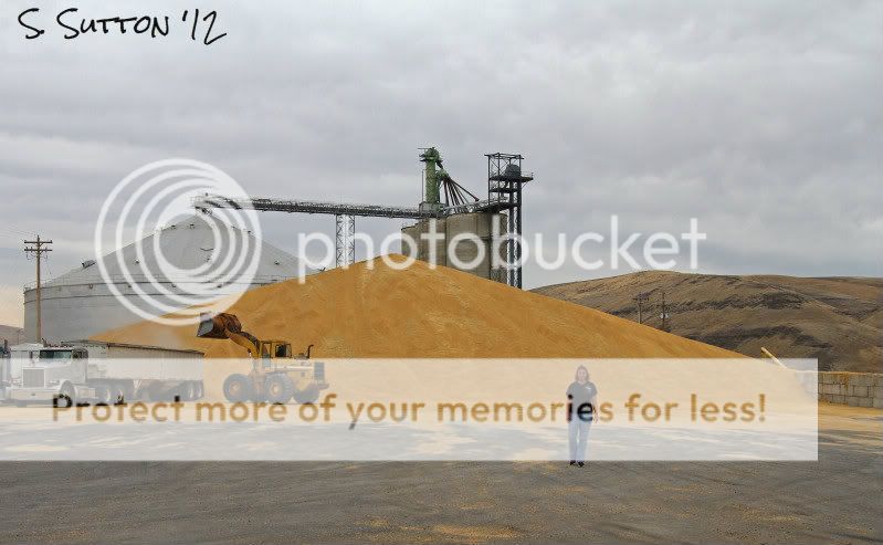 wheatpile.jpg