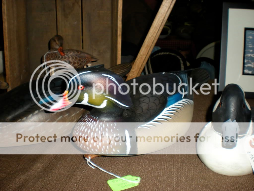 DSCN0552.jpg