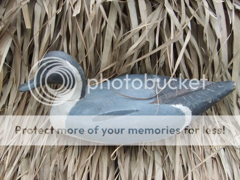 SD531041.jpg