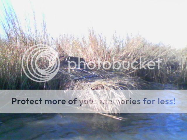 pic32.jpg