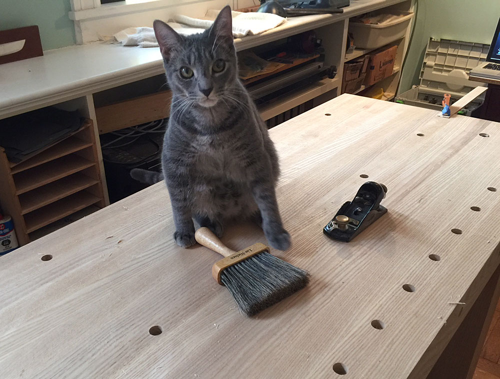 apprentice4