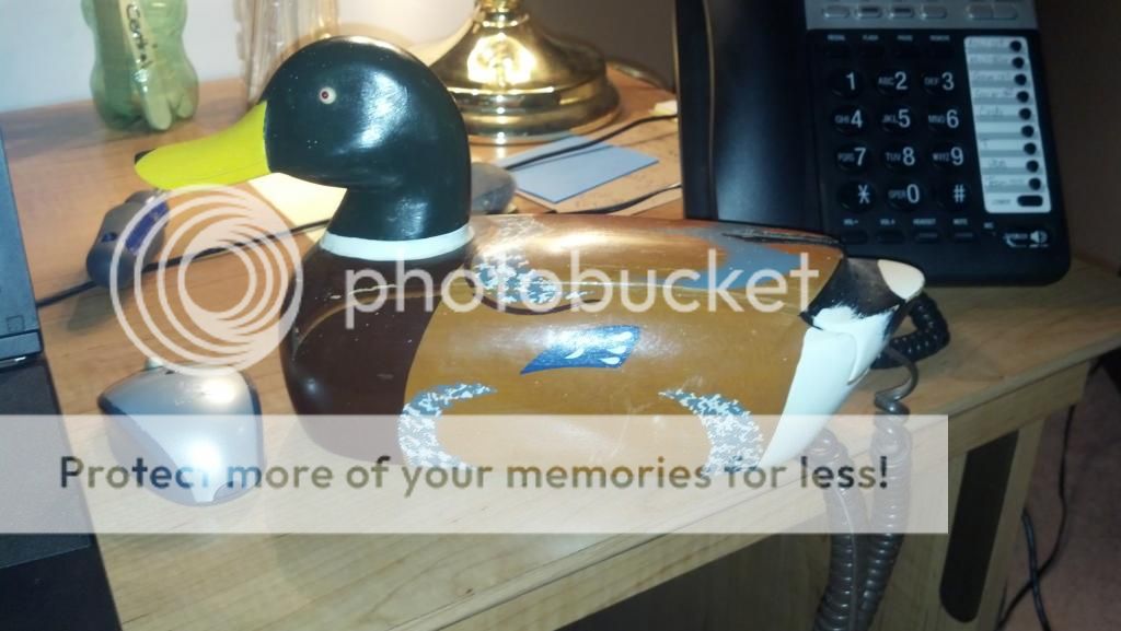 DuckPhone_zps750cdae0.jpg