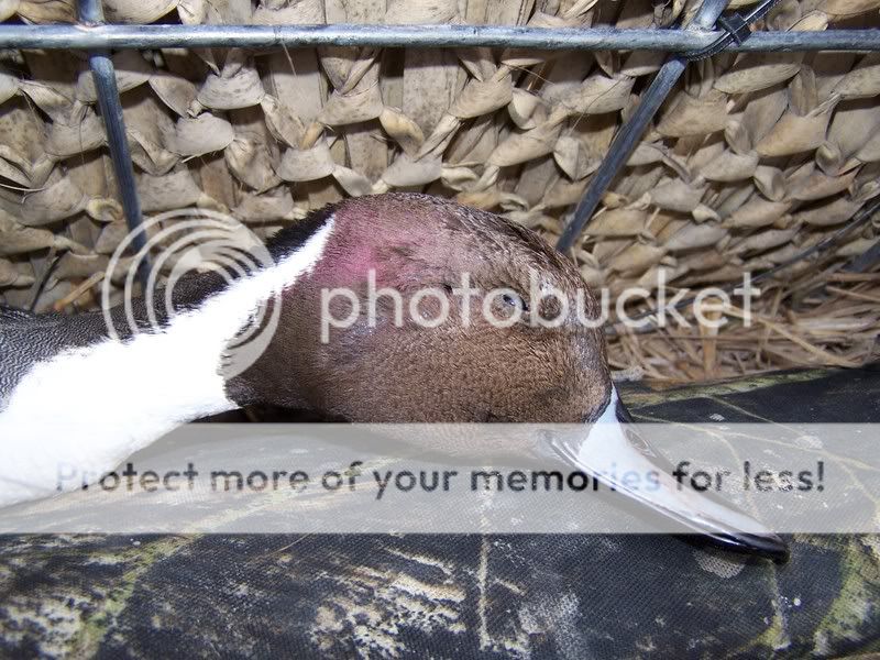 100_1730.jpg