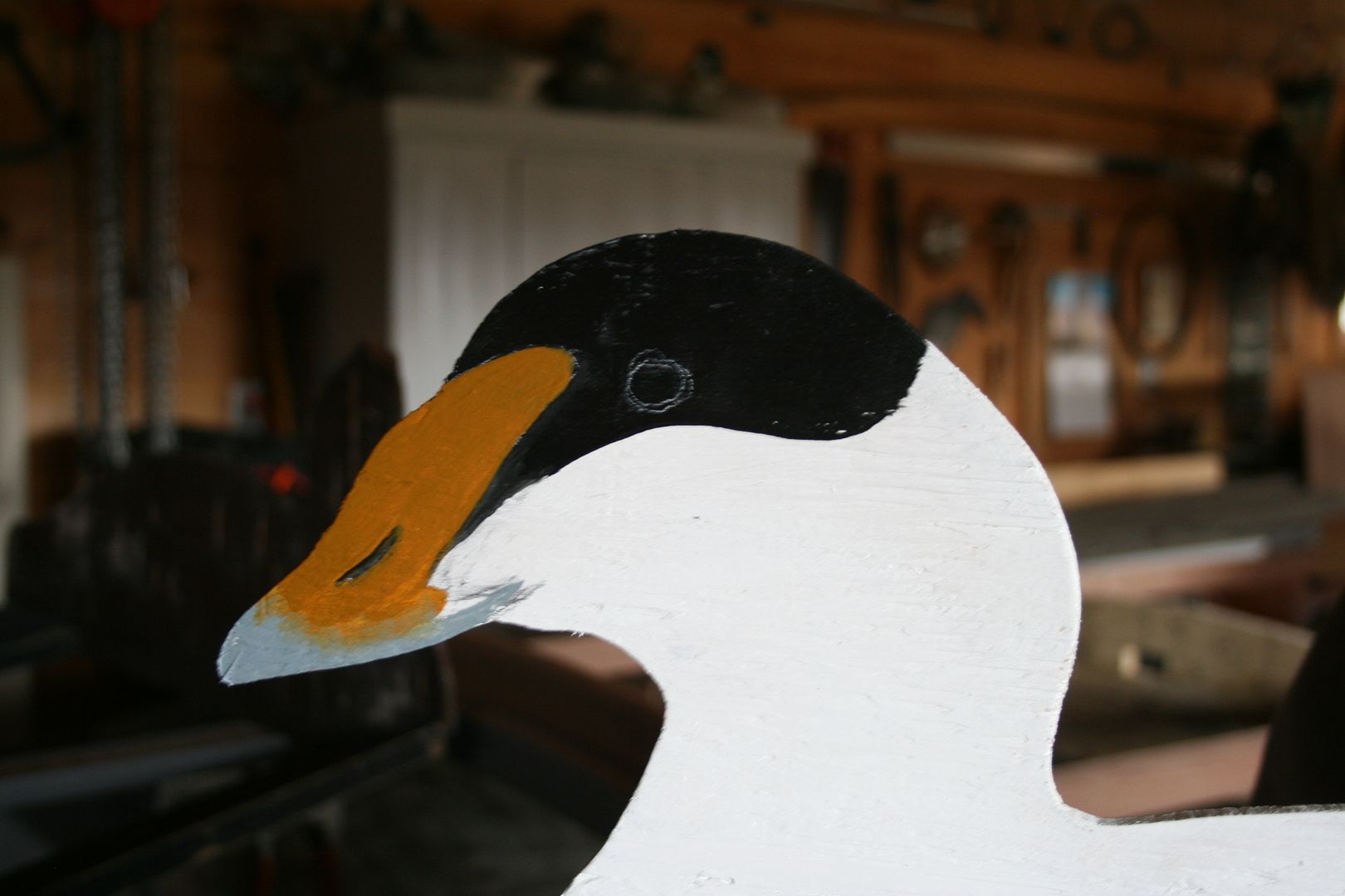 Johnson%20Eider%202_zpsgqyejpsr.jpg