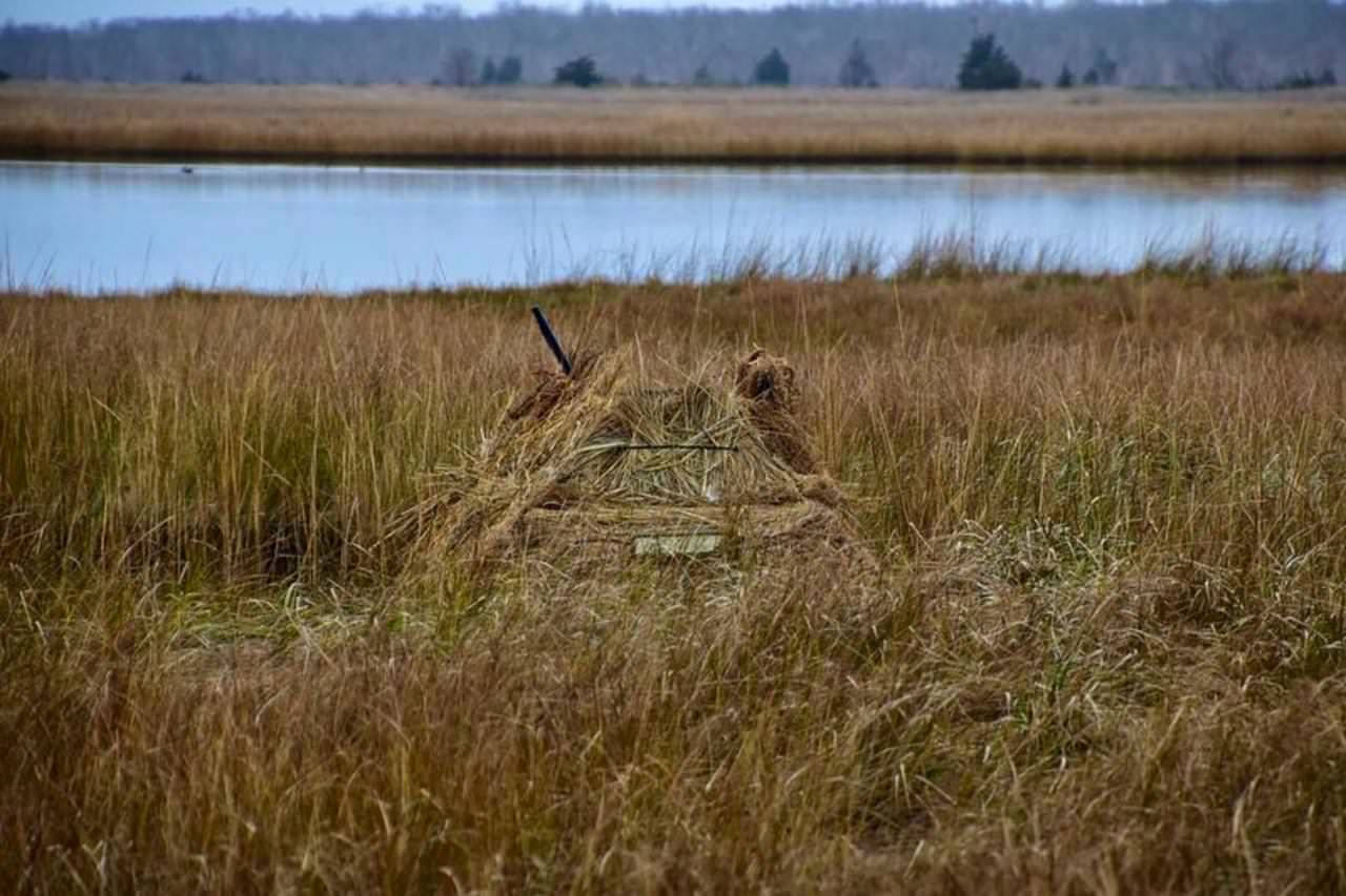 u9oUIwz.jpg