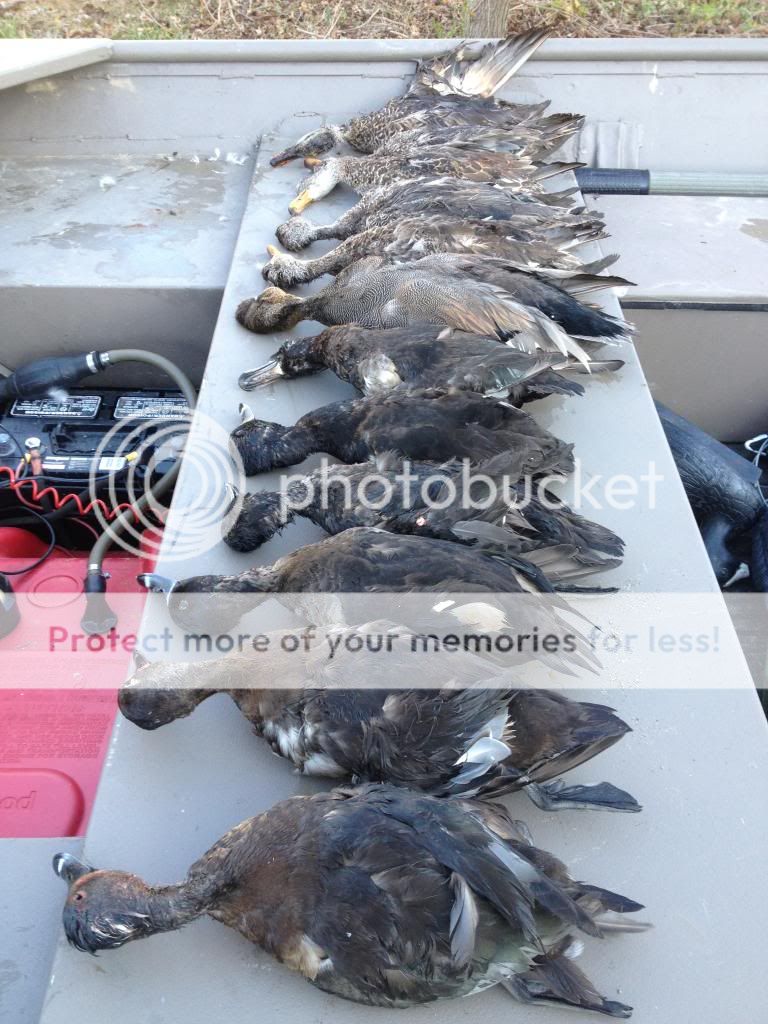 2012opener.jpg