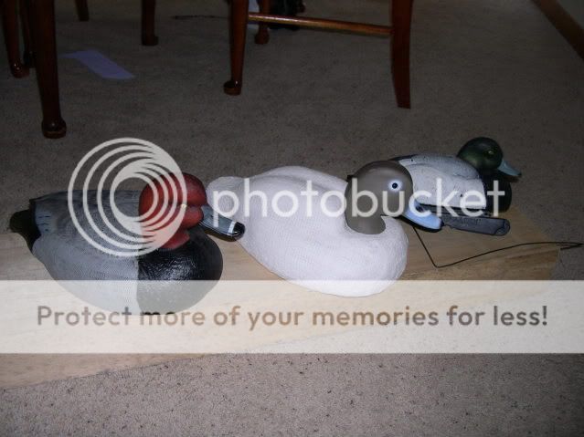 DSCN1900.jpg