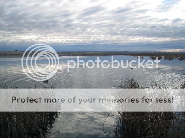 DuckHuntFreezeoutLake11-15-2010027.jpg