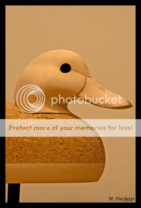 connblackhead_edited-1.jpg