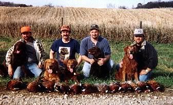 iowapheasanthunting.jpg