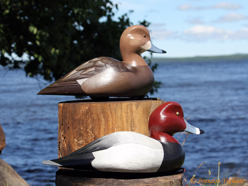 2014-09-01-Decoys-057.jpg