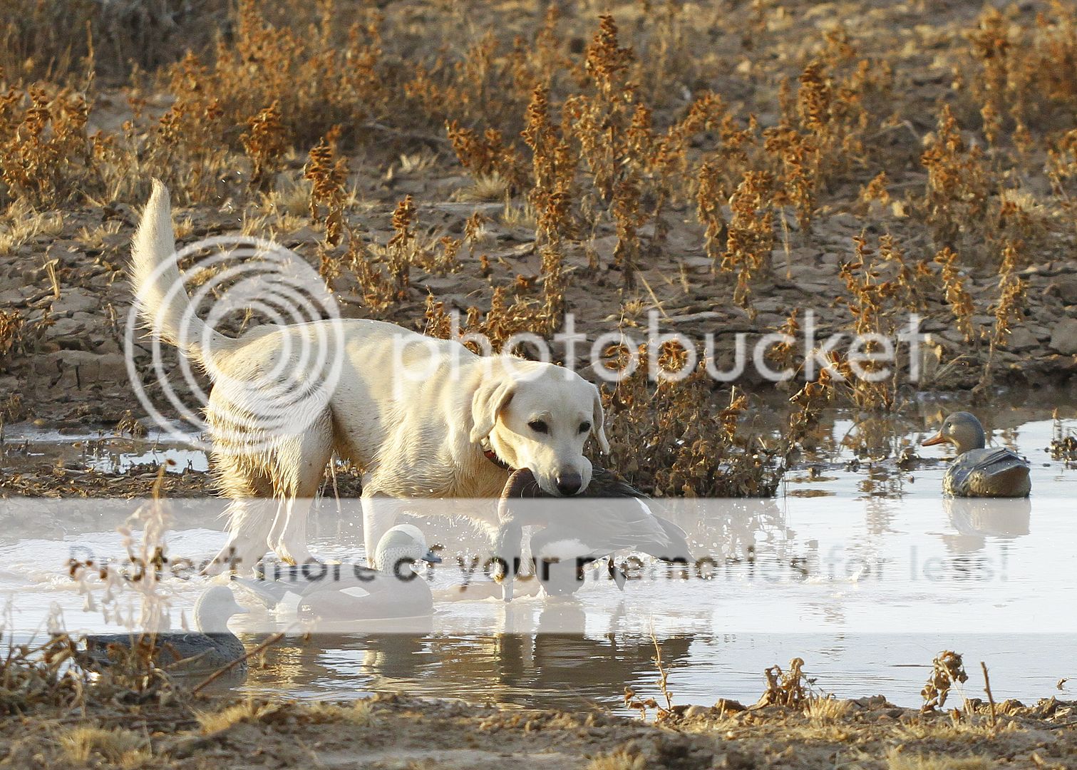 _MG_6870.jpg