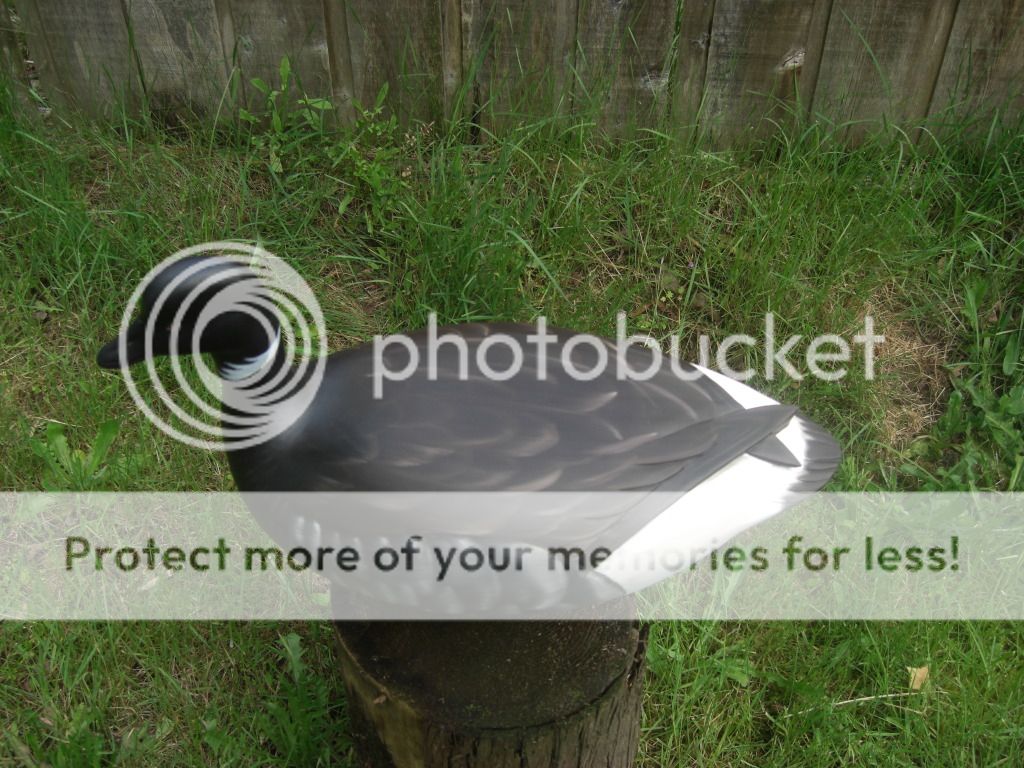 CIMG5088.jpg