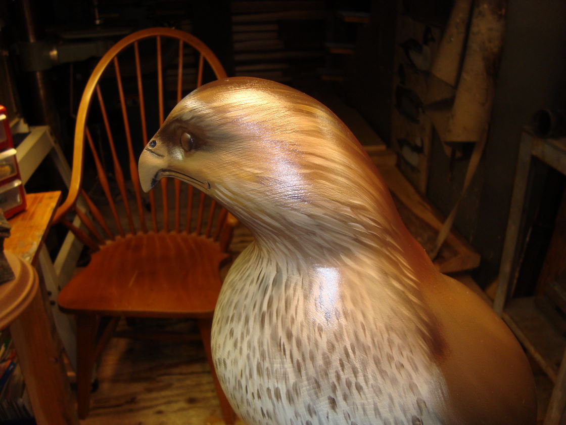 redtail.jpg