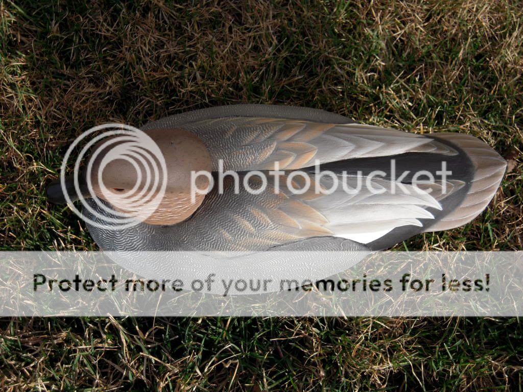 DSCN0745.jpg