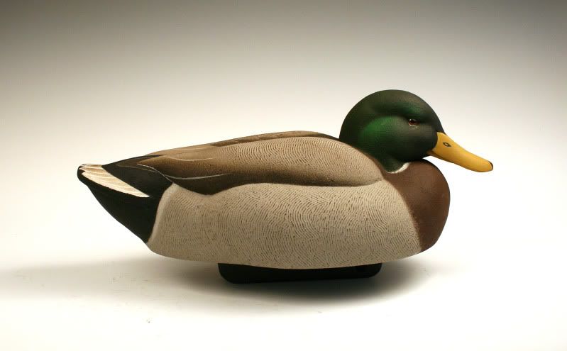 CostilowMallard.jpg