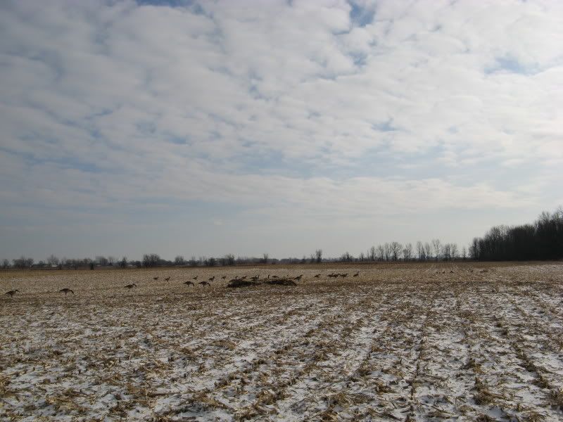 20081213_41.jpg