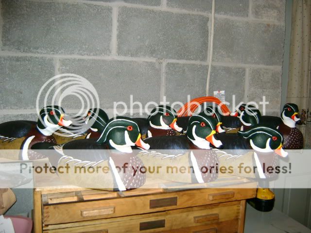 drilldecoys002.jpg