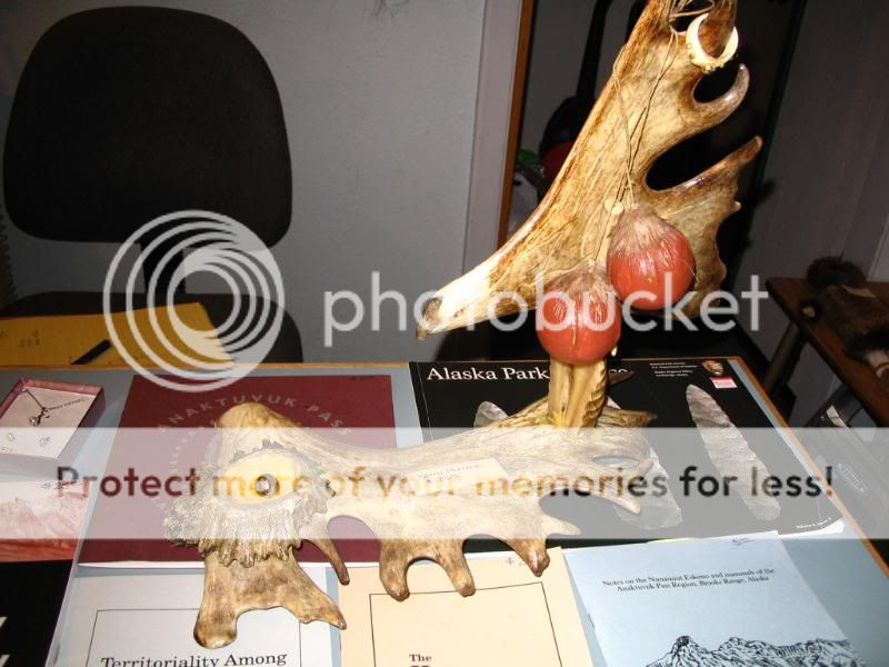 trip010.jpg