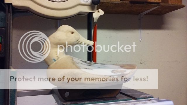 20160807_182849_zpsxw87zchz.jpg