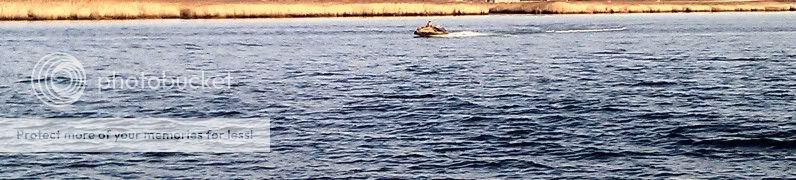 IMAG0457-1-1.jpg