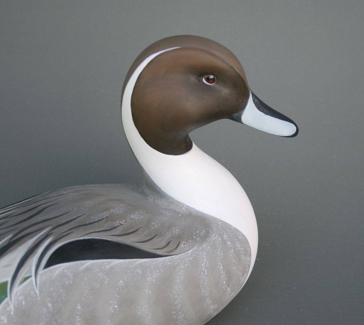 Pintail%20CLOSEUP_zpsysipzs22.jpg