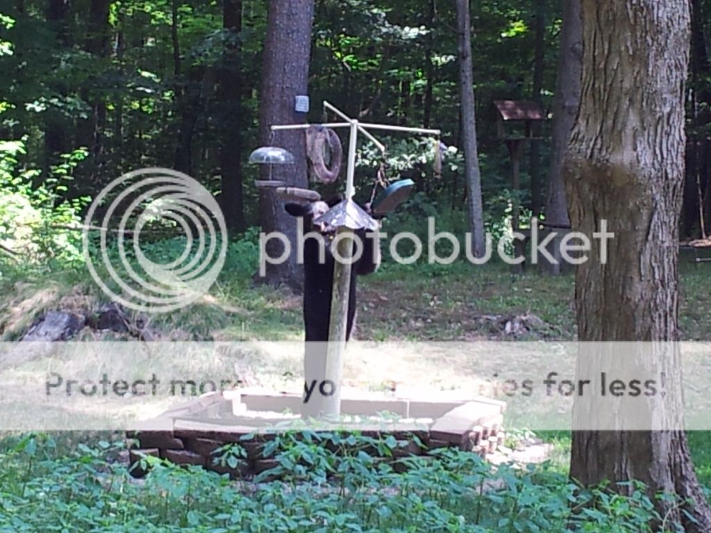 2012-07-07123721.jpg