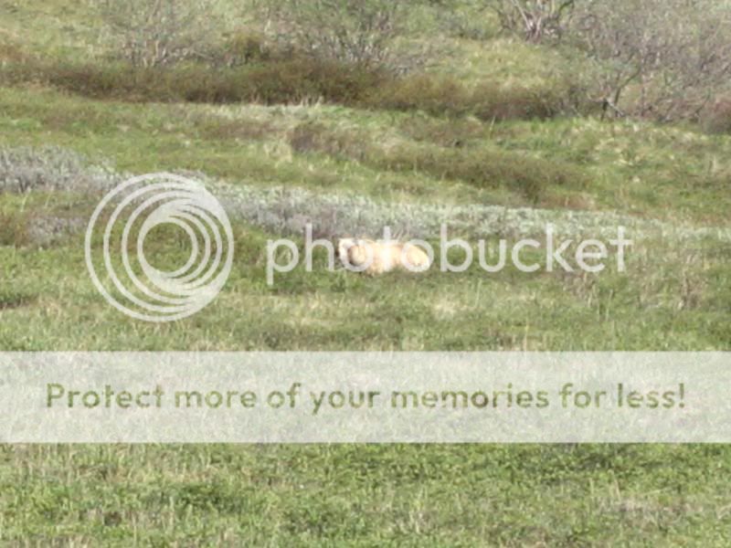 trip011.jpg