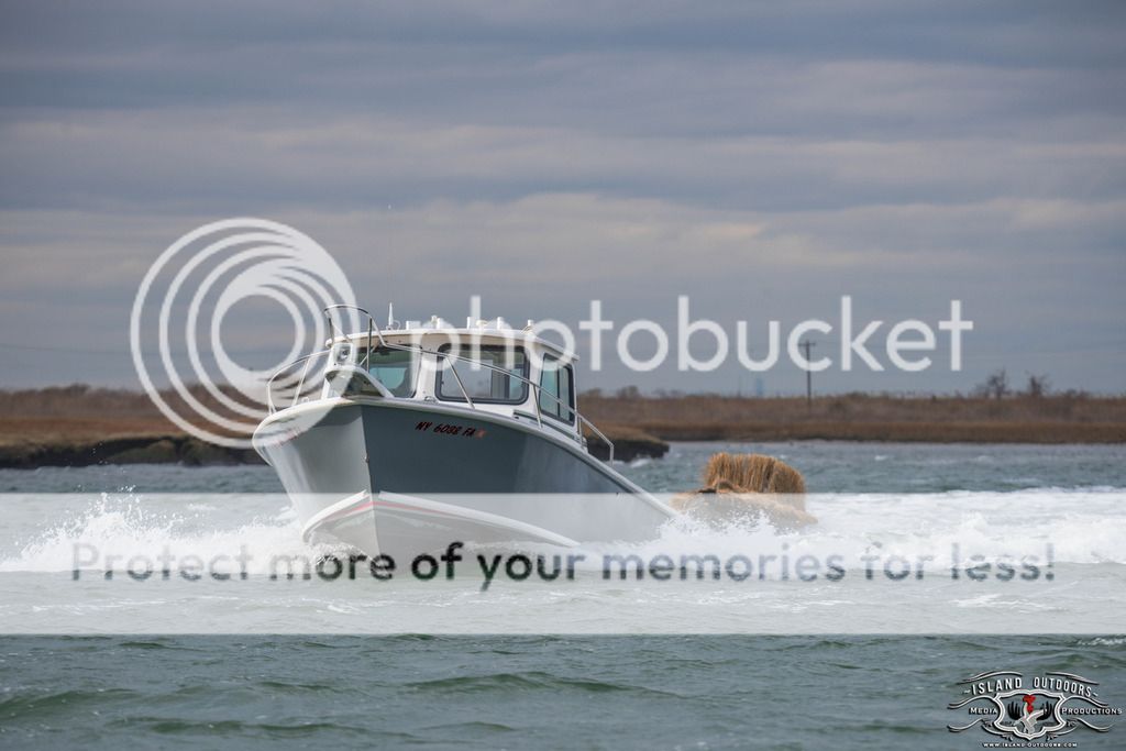 IslandOutdoorsMediaTM_zpsgof9oujj.jpeg